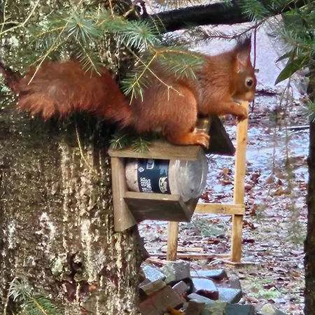 Dennenhuis Feriehus *