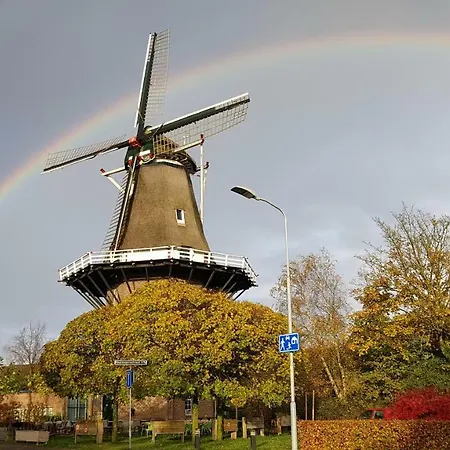 Dennenhuis Vaassen