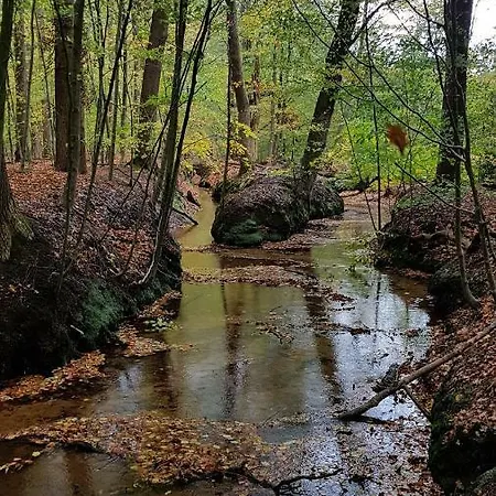 Dennenhuis بيت للعطل *