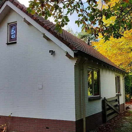 Dennenhuis Feriehus *
