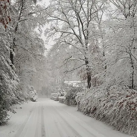 بيت للعطل Dennenhuis *