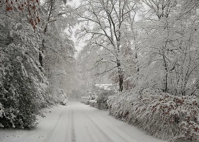 Prázdninový dům Dennenhuis *