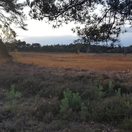 Dennenhuis Сasa de vacaciones